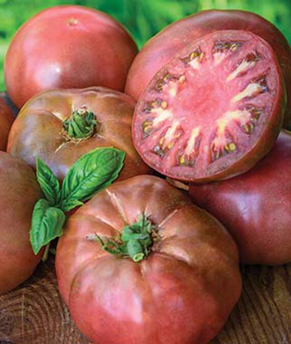 Tomato, Black Krim Heirloom Organic